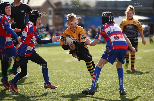 020417 - Ospreys Rugby Festival -  Ospreys community hold a mixed age groups rugby festival as a build up to the game 