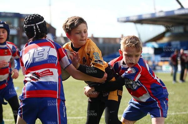 020417 - Ospreys Rugby Festival -  Ospreys community hold a mixed age groups rugby festival as a build up to the game 