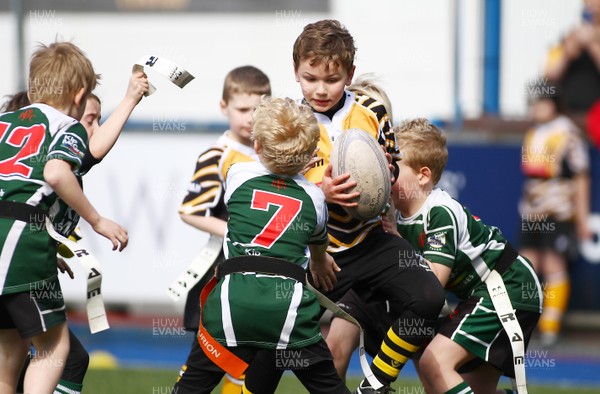 020417 - Ospreys Rugby Festival -  Ospreys community hold a mixed age groups rugby festival as a build up to the game 