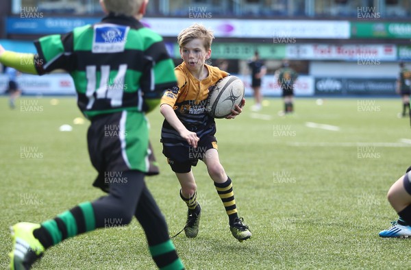 020417 - Ospreys Rugby Festival -  Ospreys community hold a mixed age groups rugby festival as a build up to the game 