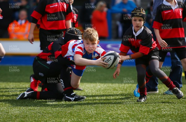 020417 - Ospreys Rugby Festival -  Ospreys community hold a mixed age groups rugby festival as a build up to the game 