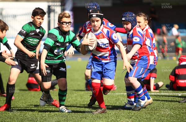 020417 - Ospreys Rugby Festival -  Ospreys community hold a mixed age groups rugby festival as a build up to the game 