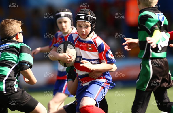 020417 - Ospreys Rugby Festival -  Ospreys community hold a mixed age groups rugby festival as a build up to the game 