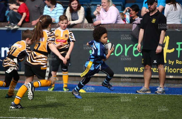 020417 - Ospreys Rugby Festival -  Ospreys community hold a mixed age groups rugby festival as a build up to the game 