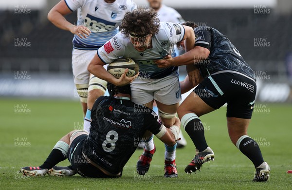 240421 - Ospreys v Cardiff Blues - Rainbow Cup - Ben Murphy of Cardiff Blues is tackled by Morgan Morris and Tom Botha of Ospreys
