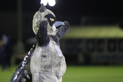 010126 - Ospreys v Cardiff Rugby - United Rugby Championship - Ozzie
