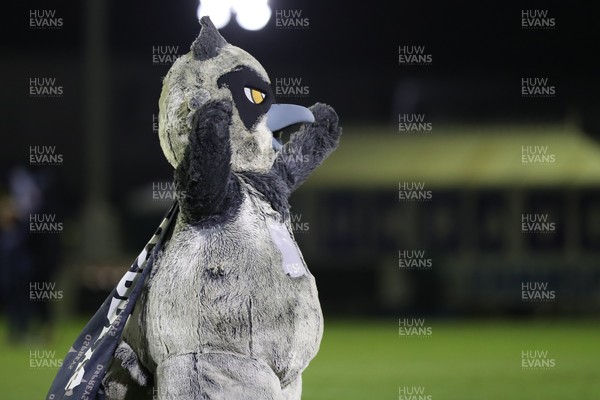 010126 - Ospreys v Cardiff Rugby - United Rugby Championship - Ozzie