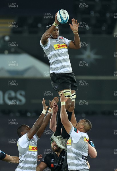 141022 - Ospreys v DHL Stormers - BKT United Rugby Championship - Marvin Orie of Stormers wins the line out