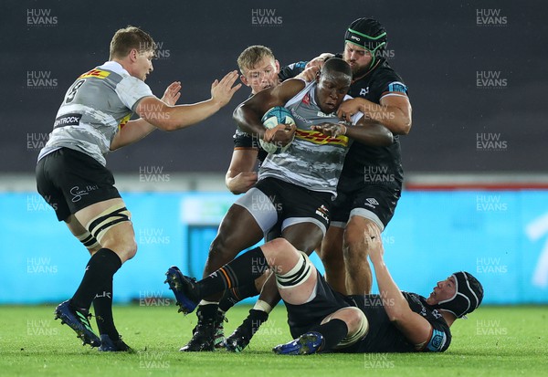 141022 - Ospreys v DHL Stormers - BKT United Rugby Championship - Nama Xaba of Stormers is tackled by Jac Morgan and Morgan Morris of Ospreys