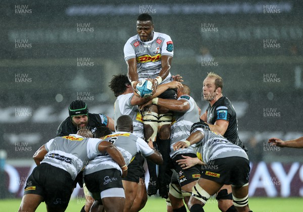 141022 - Ospreys v DHL Stormers - BKT United Rugby Championship - Nama Xaba of Stormers wins the line out