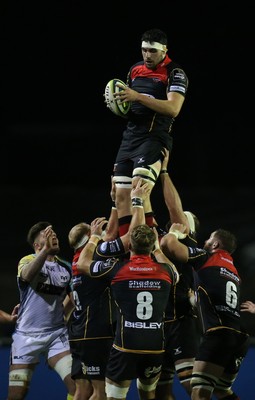 141114 -  Ospreys v Newport Gwent Dragons, LV= Cup, Brewery Field, Bridgend - Dragons' Cory Hill takes line out ball