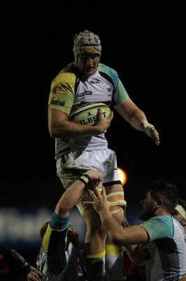 141114 -  Ospreys v Newport Gwent Dragons, LV= Cup, Brewery Field, Bridgend - Rynier Bernardo takes the ball in the line out