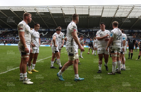250323 - Ospreys v Dragons - United Rugby Championship - Dejected Dragons at full time