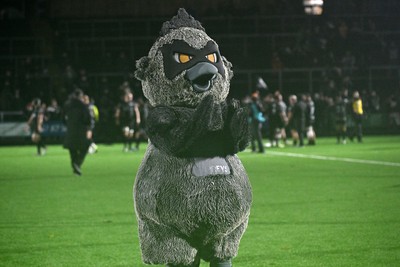 241026 - Ospreys v Dragons RFC - United Rugby Championship - Ospreys mascot at full time