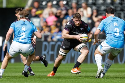 260425 - Ospreys v Dragons RFC - United Rugby Championship - James Ratti of Ospreys