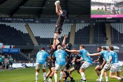 260425 - Ospreys v Dragons RFC - United Rugby Championship - Adam Beard of Ospreys takes line out 