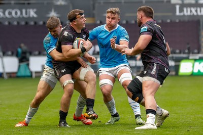 260425 - Ospreys v Dragons RFC - United Rugby Championship - Morgan Morse of Ospreys