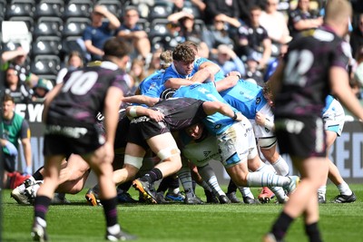 260425 - Ospreys v Dragons RFC - United Rugby Championship - Ryan Woodman of Dragons
