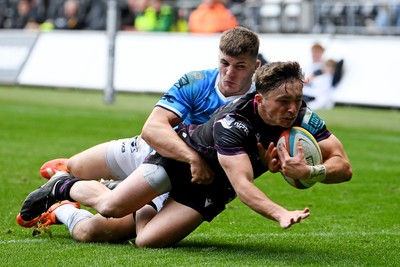 260425 - Ospreys v Dragons RFC - United Rugby Championship - Dan Edwards of Ospreys scores a try