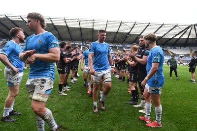 260425 - Ospreys v Dragons RFC - United Rugby Championship - Dejected Dragons at full time