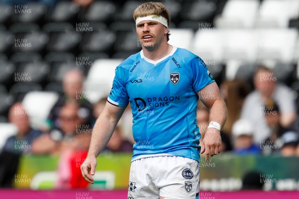 260425 - Ospreys v Dragons RFC - United Rugby Championship - Aaron Wainwright of Dragons