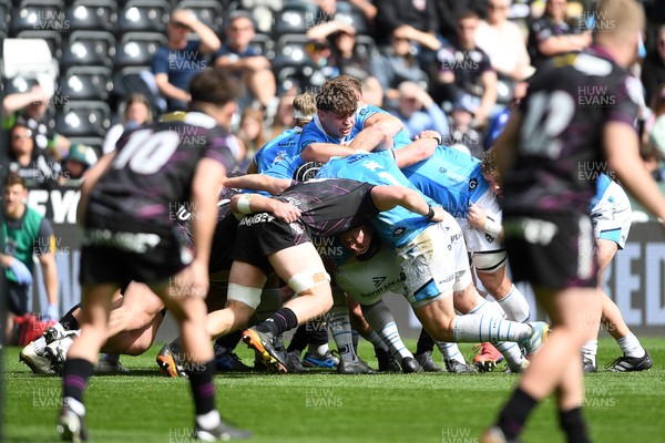 260425 - Ospreys v Dragons RFC - United Rugby Championship - Ryan Woodman of Dragons