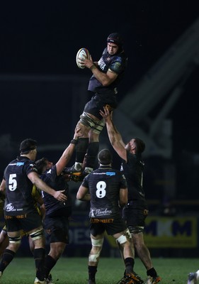310126 - Ospreys v Dragons - United Rugby Championship - James Fender of Ospreys wins the line out