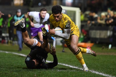 310126 - Ospreys v Dragons RFC - United Rugby Championship - Rio Dyer of Dragons goes close to putting the ball over the line for a try