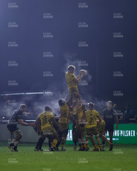 310126 - Ospreys v Dragons - United Rugby Championship - Ryan Woodman of Dragons wins the line out