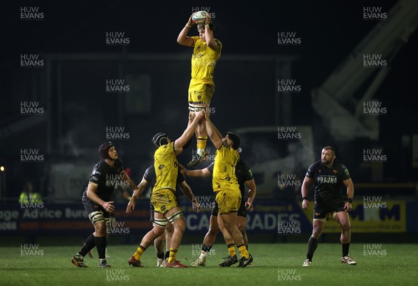 310126 - Ospreys v Dragons - United Rugby Championship - Ryan Woodman of Dragons wins the line out
