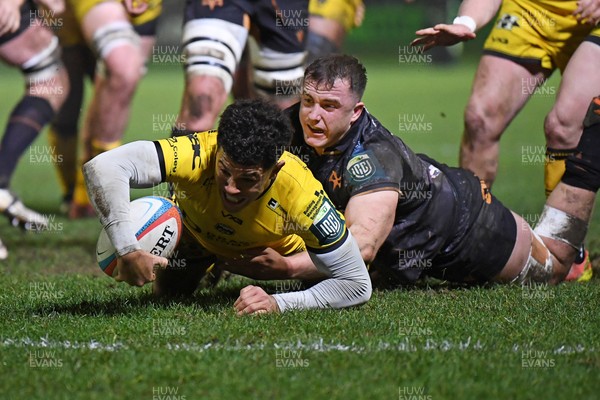 310126 - Ospreys v Dragons RFC - United Rugby Championship - Rio Dyer of Dragons goes close to putting the ball over the line for a try
