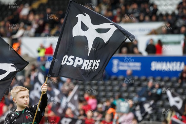 300324 - Ospreys v Emirates Lions - United Rugby Championship - Ospreys flags and flag bearer