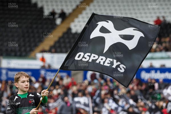300324 - Ospreys v Emirates Lions - United Rugby Championship - Ospreys flags and flag bearer