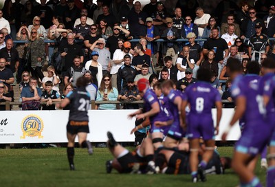 060925 - Ospreys v Exeter Chiefs - Pre Season Friendly - Fans