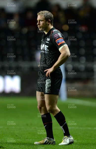 291113 - Ospreys v Glasgow - RaboDirect PRO12 -Tom Isaacs of Ospreys