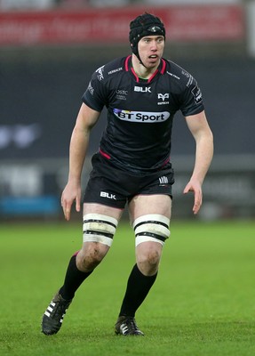 310116 - Ospreys v Glasgow - Guinness PRO12 - Adam Beard of Ospreys