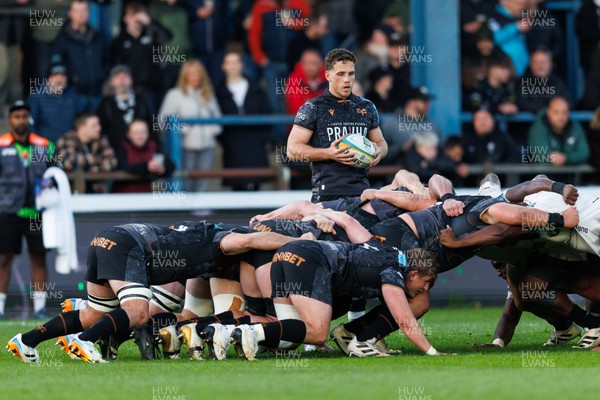 180426 - Ospreys v Hollywoodbets Sharks - United Rugby Championship - Kieran Hardy of Ospreys prepares to put the ball into scrum