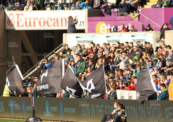 070315 - Ospreys v Munster - GuinnessPro12 -Flag bearers at The Ospreys