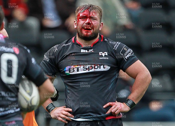 130915 - Ospreys v Munster - Guinness PRO12 - Blood pours from Sam Parry of Ospreys head