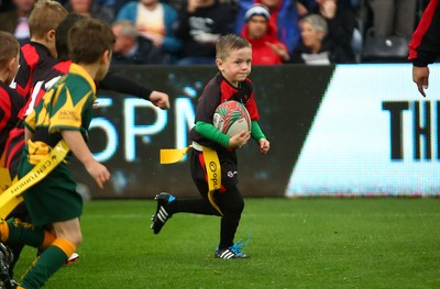160917 - Ospreys v Munster - GuinnessPro12 - Half Time tag rugby at The Ospreys 