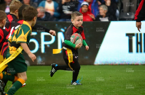 160917 - Ospreys v Munster - GuinnessPro12 - Half Time tag rugby at The Ospreys 