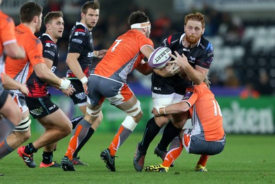 Ospreys v Newcastle Falcons 141016