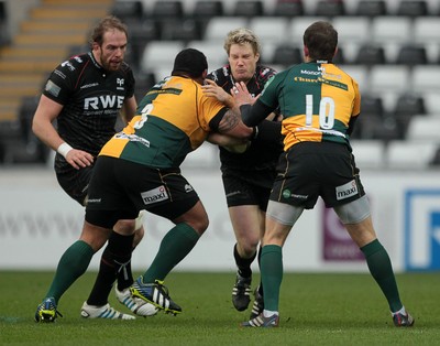 Ospreys v Northampton 120114