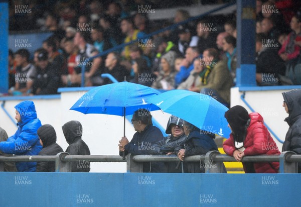 110818 - Ospreys v Northampton Saints - Preseason Friendly - Fans with umbrellas