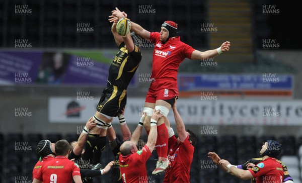 02.04.10 - Ospreys v Scarlets - Magners League - Dominic Day of Scarlets beats Ian Gough of Ospreys to line-out ball. 