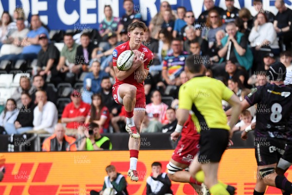 060425 - Ospreys v Scarlets -  EPCR Challenge Cup Round of 16 -  Ellis Mee of Scarlets