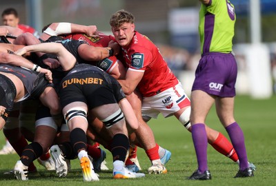 090526 - Ospreys v Scarlets - United Rugby Championship - Taine Plumtree of Scarlets 