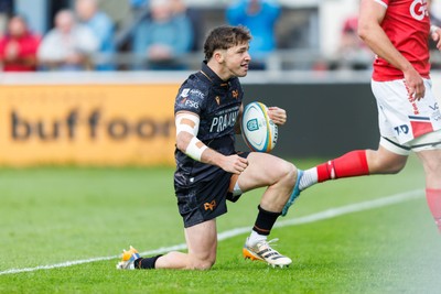090526 - Ospreys v Scarlets - United Rugby Championship - Dan Edwards of Ospreys celebrates after scoring a try