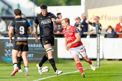090526 - Ospreys v Scarlets - United Rugby Championship - Blair Murray of Scarlets celebrates after scoring a try