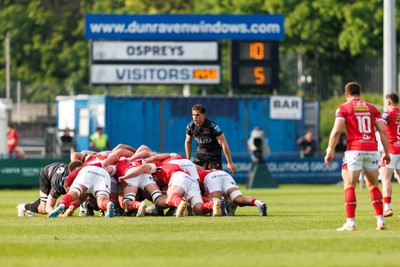 090526 - Ospreys v Scarlets - United Rugby Championship - Kieran Hardy of Ospreys puts the ball into a scrum